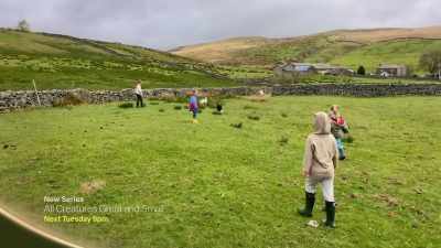 Amanda has used the lockdown - Our Yorkshire Farm