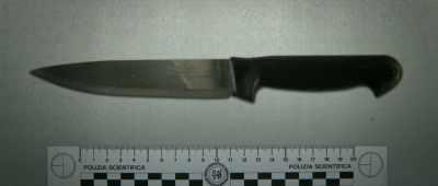 Amanda's DNA was found on the handle. - Amanda Knox