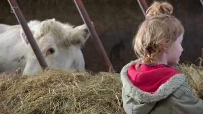 Amanda's gone to bring
a bail of silage, - Our Yorkshire Farm