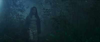 AMAYA: Robin! Robin! - Robin and the Hoods