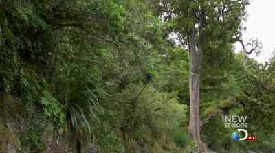 AMAZING. - Man vs. Wild