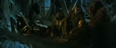 Amazing... - War for the Planet of the Apes