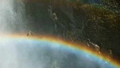 Amazingly, driven by blind instinct, - Seven Worlds, One Planet