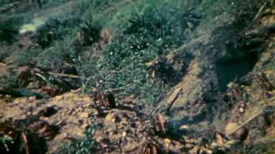 Americans fire
streams of liquid flame - The Pacific War in Color