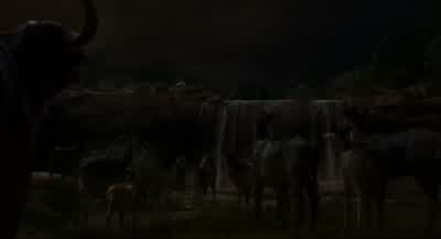 Ami, ami! - The Jungle Book