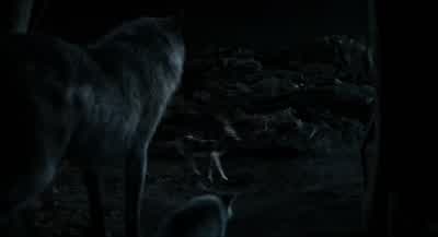 Ami, what's happening? - The Jungle Book