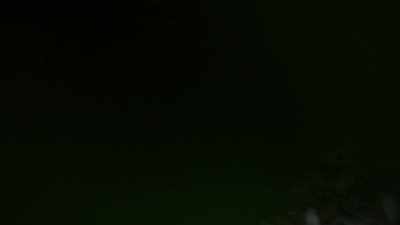 Amidst this very dense
foliage and vegetation, - Expedition Bigfoot