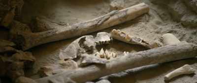 [Amira] And the other one, - Secrets of the Saqqara Tomb