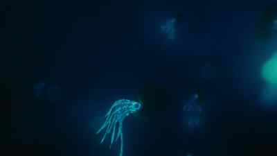 Ammonites are mollusks,
related to octopus and squid. - Prehistoric Planet