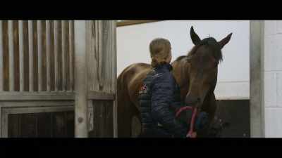 Among Andrew's
runners today is Alcohol Free, - Horsepower