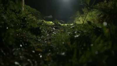 Among his duties,
protecting the base's - Unidentified: Inside America's UFO Investigation