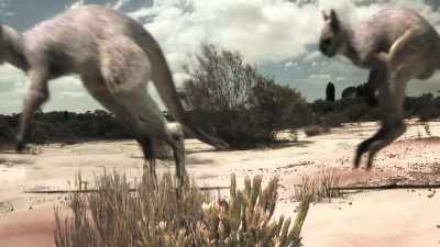 Among them, the largest
marsupial carnivore ever to live, - Modern Dinosaurs