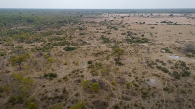 'Amos and his team - A Year on Planet Earth