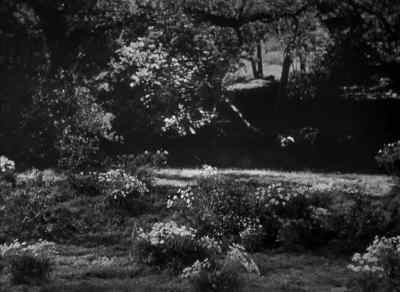 Amy is a nice girl only a little different - The Curse of the Cat People