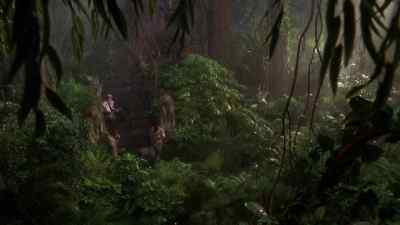 Amy, don't wander off! - Congo