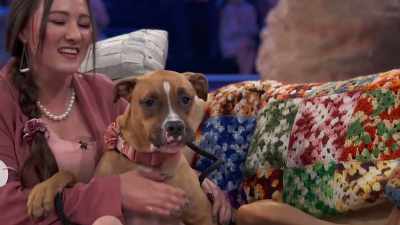 Amy pulled Sparrow
into this position, - 2022 American Rescue Dog Show