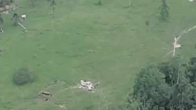 An airplane crashed with
a full load of cocaine - Drug Lords: The Next Generation