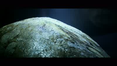 An amazing state of preservation. - Prometheus