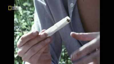 An American ally, - America's War on Drugs