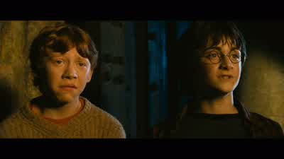 ...an amusement-park ride every day when we were shooting this. - Harry Potter and the Chamber of Secrets