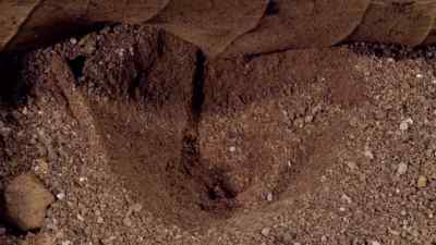 An ant wanders into the pit... - Micro Monsters with David Attenborough