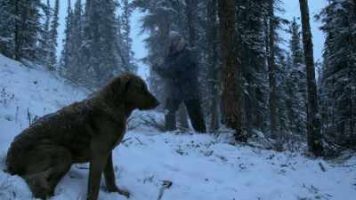 An axe is an axe, it's going to
cause the same amount of damage. - Life Below Zero: Next Generation