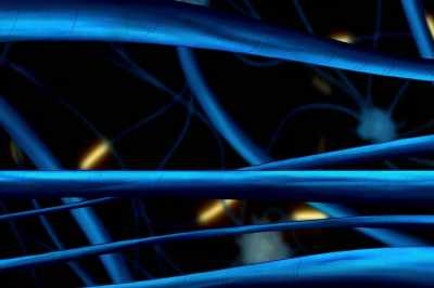 An electrical impulse rockets away
from the neuron's dendrites. - The Magic School Bus Rides Again