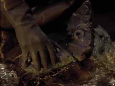 An insect. Curious - Lexx
