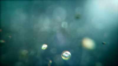 An interconnected web of life. - One Strange Rock