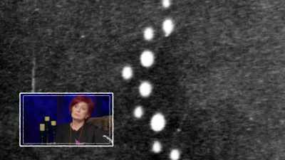 An octopus? Have you lost your
[bleep] mind? - The Osbournes Want to Believe