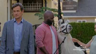 An opening-night llama?
That's, uh, definitely a first. - Rise and Shine, Benedict Stone