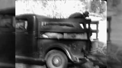 An overseer took
over the plantation, - The Rebellious Life of Mrs. Rosa Parks