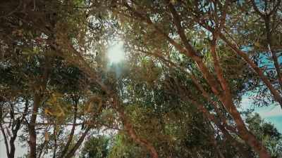 {\an1}air, earth, water, and fire...
Were essential - Mysteries of Mental Illness