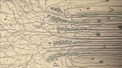 {\an1}And scientists discovered
different regions - Mysteries of Mental Illness