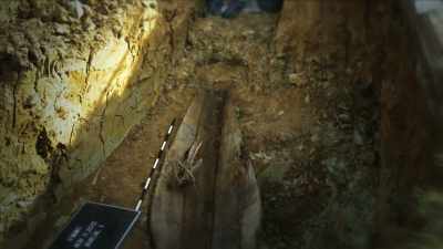 {\an1}And they stumbled upon a burial. - Mysteries of Mental Illness