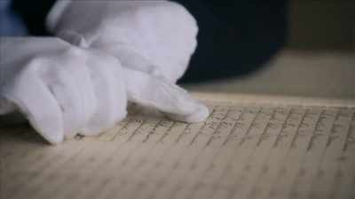 {\an1}And you would not have recovered
from this disease. - Mysteries of Mental Illness