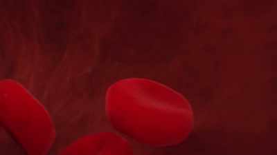 {\an1}Blood is essentially composed
of two substances. - Human: The World Within