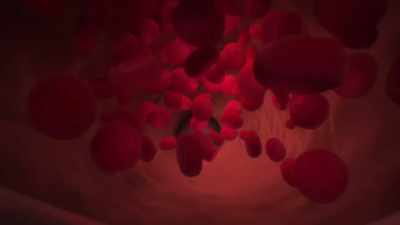 {\an1}But this ingenious adaptation
only works - Human: The World Within