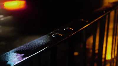 {\an1}I wasn't at all refusing to go. - Mysteries of Mental Illness