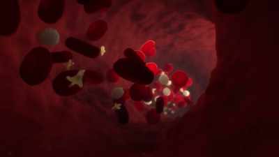 {\an1}It also helps reduce
inflammation in blood vessels. - Human: The World Within