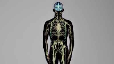 {\an1}It sends out signals - Human: The World Within