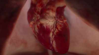 {\an1}It's been recently discovered - Human: The World Within