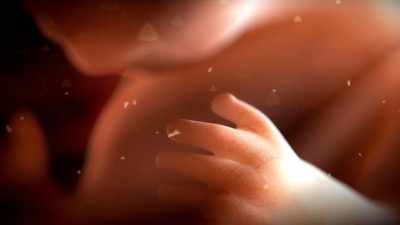 {\an1}It's floating in amniotic fluid,
and it only receives - Human: The World Within
