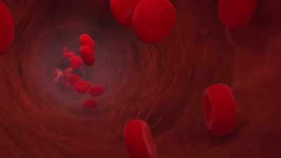 {\an1}One is the plasma, - Human: The World Within