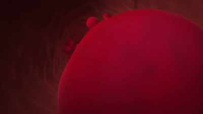 {\an1}Otherwise, the pumps have
no energy to work with. - Human: The World Within