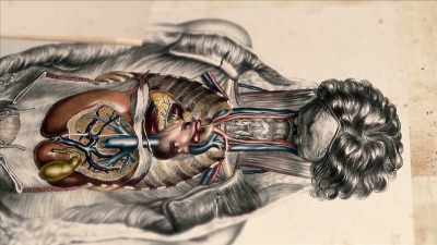 {\an1}SCULL: It creates a sense that
biology may be a way forward. - Mysteries of Mental Illness