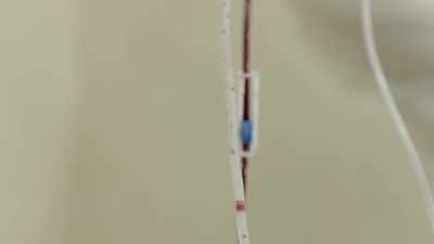 {\an1}She was bleeding profusely, - Human: The World Within