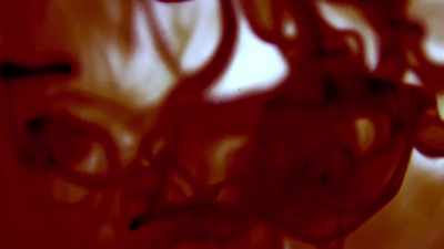{\an1}The blood is the conduit for all
these other organs to function. - Human: The World Within