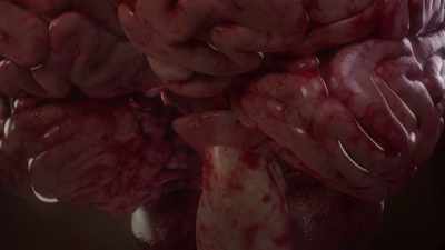 {\an1}The brain cannot function
without a moving heart. - Human: The World Within