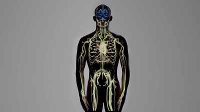 {\an1}-The connection between
the brain and the heart - Human: The World Within